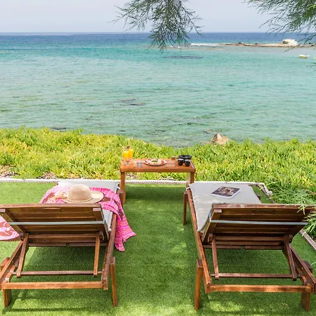 Niki-savvas & 4* Поллония