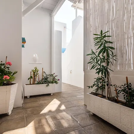 Niki-savvas & Hotel Pollonia